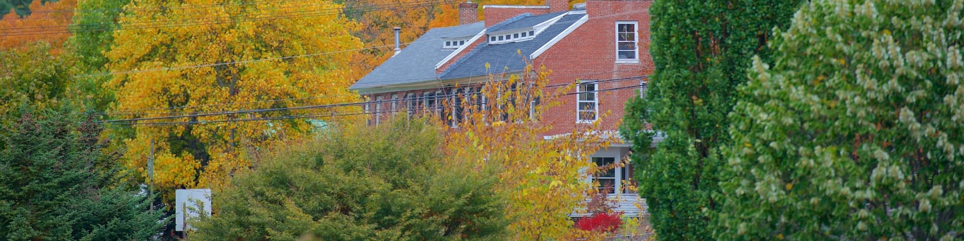 Peterborough which includes autumn leaves