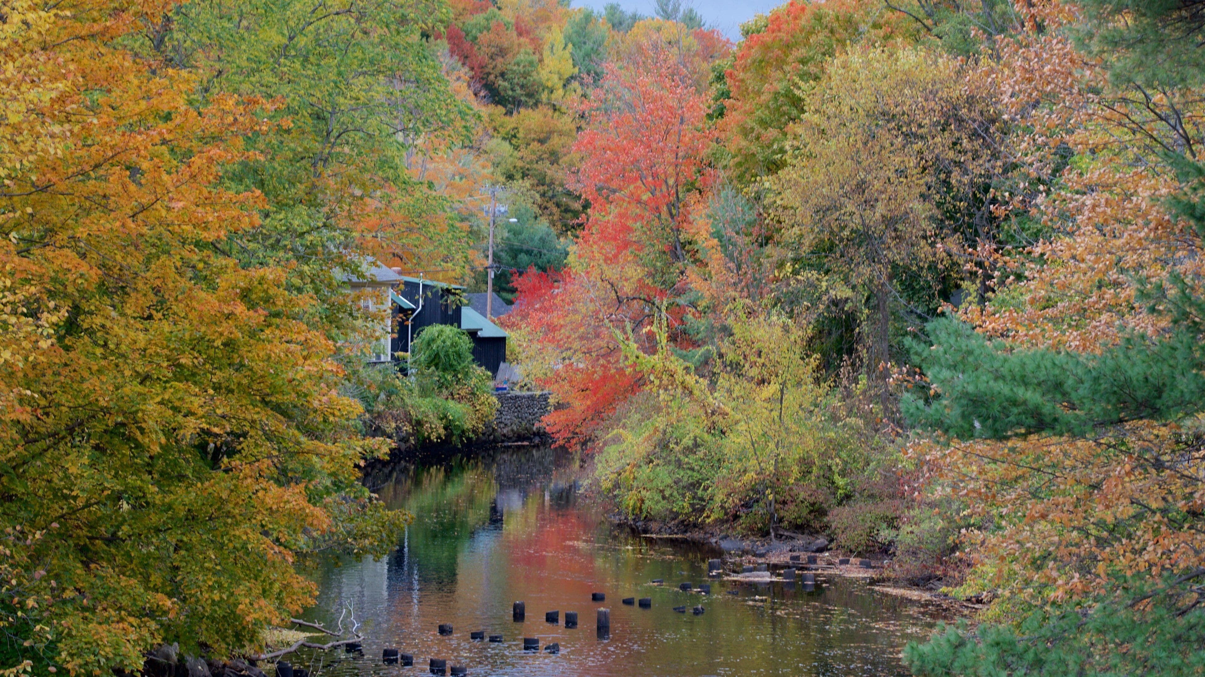 A serene river with autumn foliage, a small house, and a stone bridge.