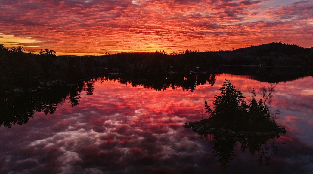 ฟิลิปส์