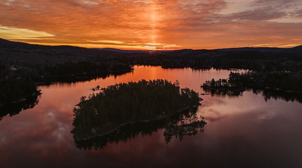 ฟิลิปส์