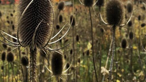 Cool little park, nice fall hike, easy for kids