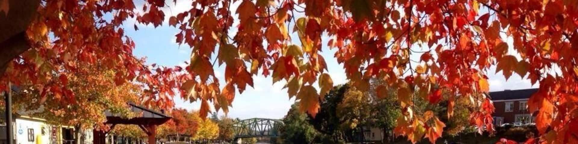 great place to shop, grab a bite, or take a walk.