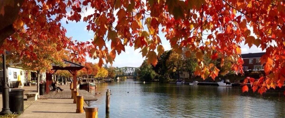 great place to shop, grab a bite, or take a walk.