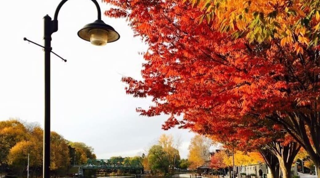 Schoen Place, great spot to take a walk, do some shopping, or grab a bite.