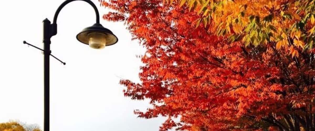 Schoen Place, great spot to take a walk, do some shopping, or grab a bite.