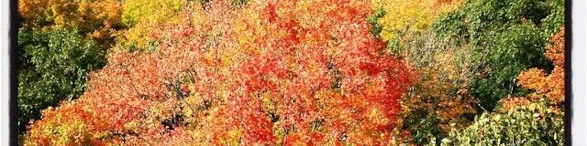 Kettle Moraine Parnell Tower - what a view!