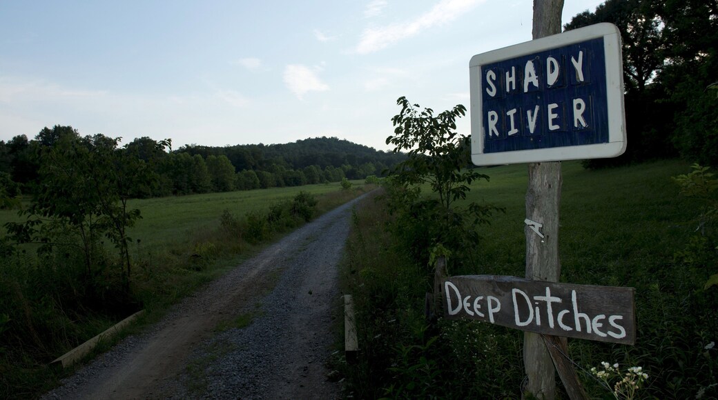 Pocahontas showing signage and tranquil scenes