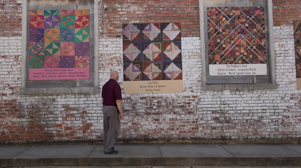 Pocahontas showing outdoor art as well as an individual male