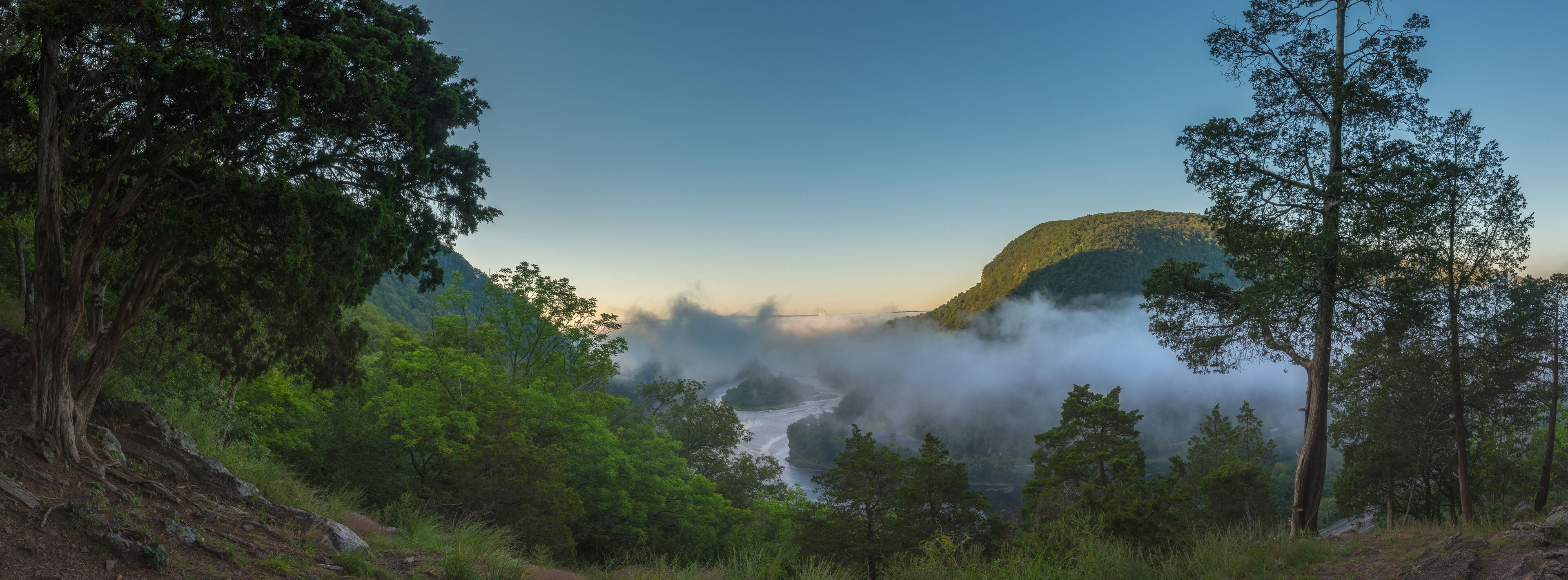 A forested valley with a river, mist, and a mountain.