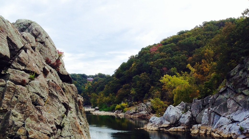 The Billy Goat Trail (section A) on the Maryland side of Great Falls takes about two hours and makes for a perfect afternoon hike just outside of DC. It does get quite popular on weekends, but there are plenty of rocks overlooking the river to have a peaceful picnic.