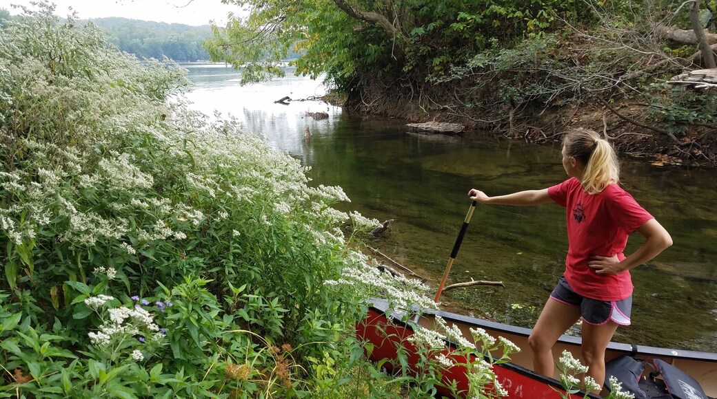 Riverbend Park has a great area to kayak and canoe there are plenty of islands to take a break on and many people in the area we're also fishing. The rentals are only around $25 for a half day and a great way to get on the water after exploring the trails along the shore.