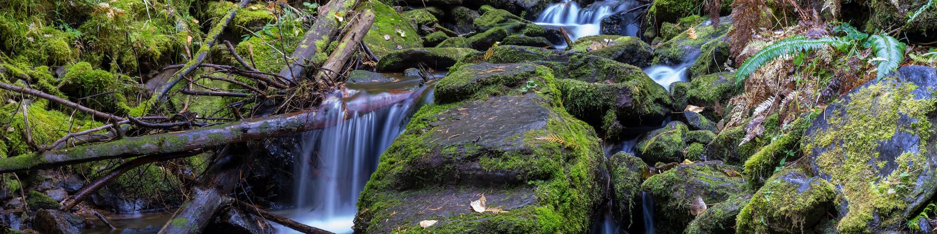 Pulaski Tunnel Trail