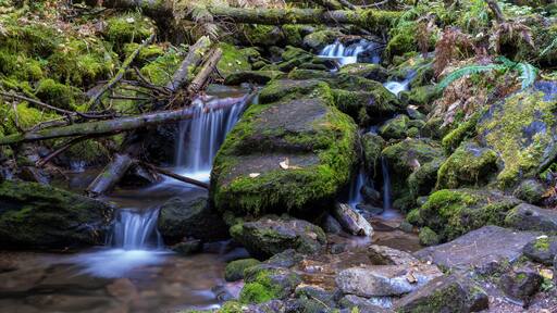 Pulaski Tunnel Trail