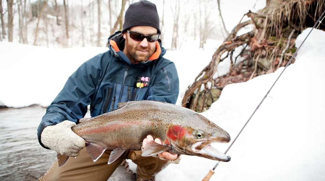 Fisherman holding large Steelhead fish Frozen river fly-fishing in Pulaski NY on the Salmon River.
Fly-fishing for Steelhead/ Rainbow trout.