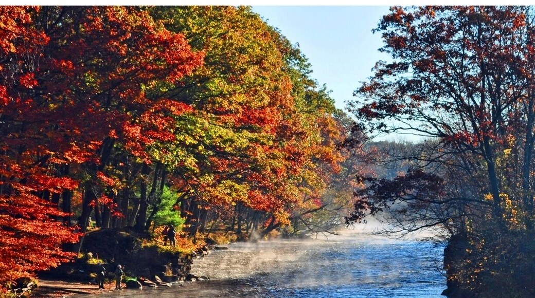 One of the best salmon fishing spots in the world.
#roadtrip
#waterlust