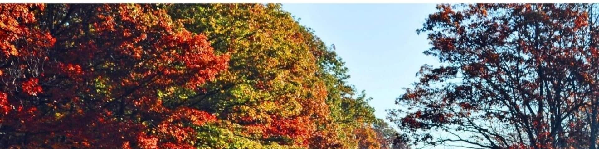 One of the best salmon fishing spots in the world.
#roadtrip
#waterlust