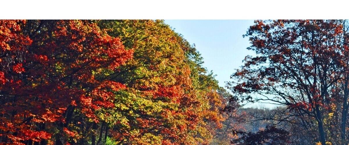 One of the best salmon fishing spots in the world.
#roadtrip
#waterlust