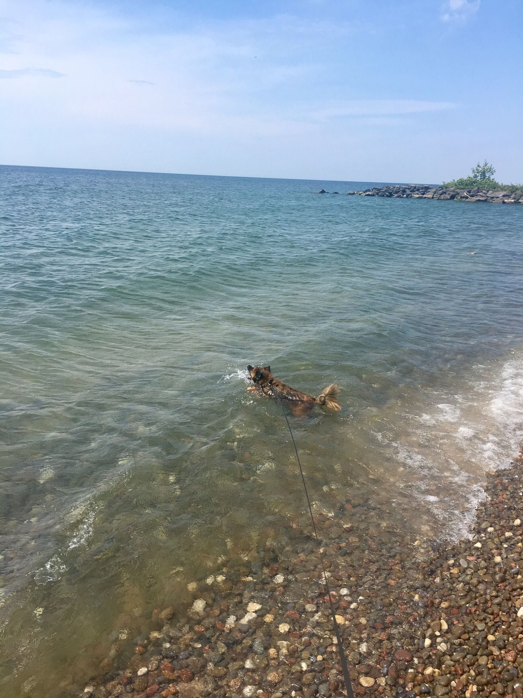 #aquatrove post hike swim!