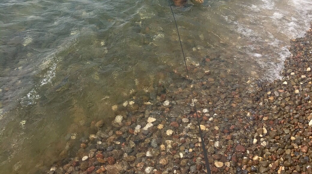 #aquatrove post hike swim!