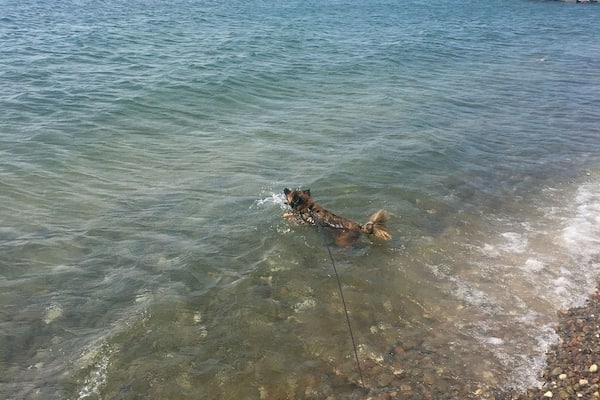 #aquatrove post hike swim!