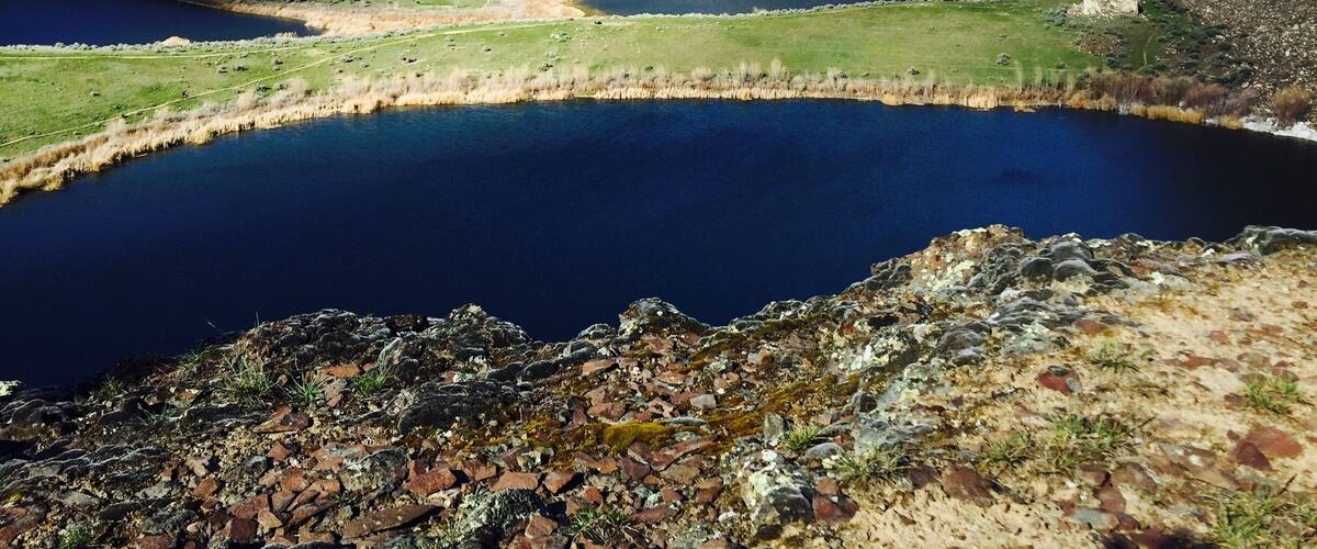 It was raining, really raining in Seattle so we packed up the car with camping gear and headed over the pass to Eastern Washington. There we found sun and a marvelous hike (maybe four miles round trip) to Ancient Lake. We were blown away by this canyon with a waterfall into a lake (see it there - the waterfall - off to the right?).
My children made a storm from the cattail seeds, nobody fell off the cliff and it was too early in the season for rattlesnakes to be out.
Go if you're in the area!
Oh yes, there is FREE camping at the Quincy Lakes Recreation Area (with a discover pass), clean outhouses and we walked to this lake from our camping spot.
Did I already say you should go?