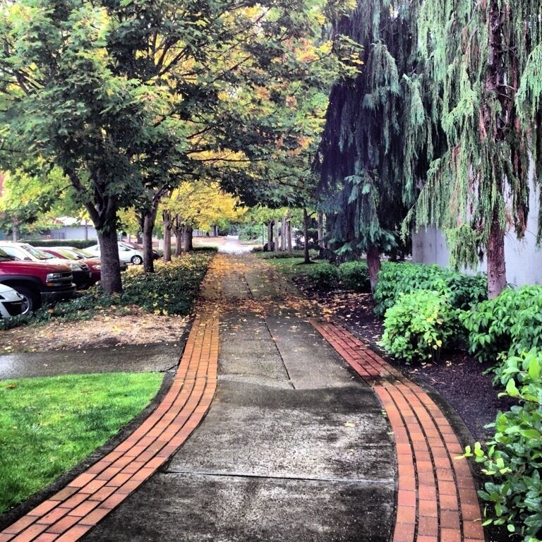 I love finding beauty when I step outside :)