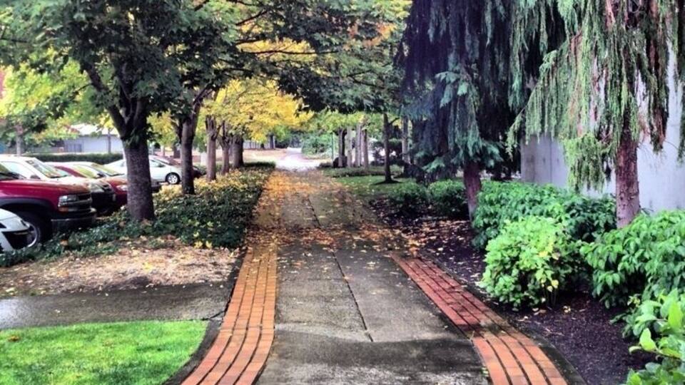 I love finding beauty when I step outside :)