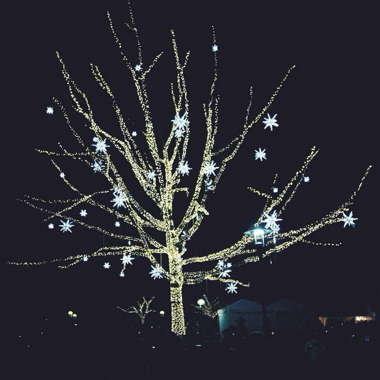 At the lighting event for Redmond City Lights