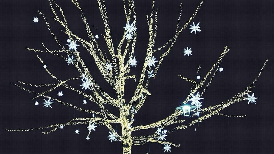 At the lighting event for Redmond City Lights