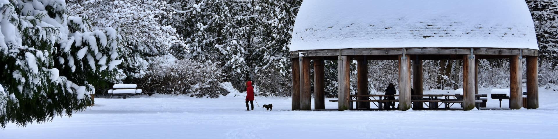 Winter in the park. Snow covered gazebo and pine trees in Grass Lawn Park, Redmond, Washington, USA