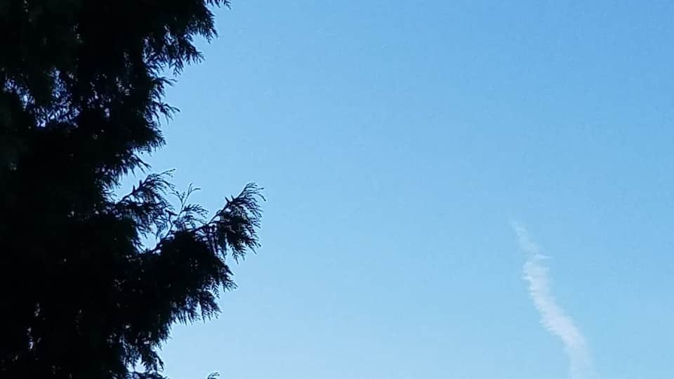 Hot air balloon in the middle of Redmond?