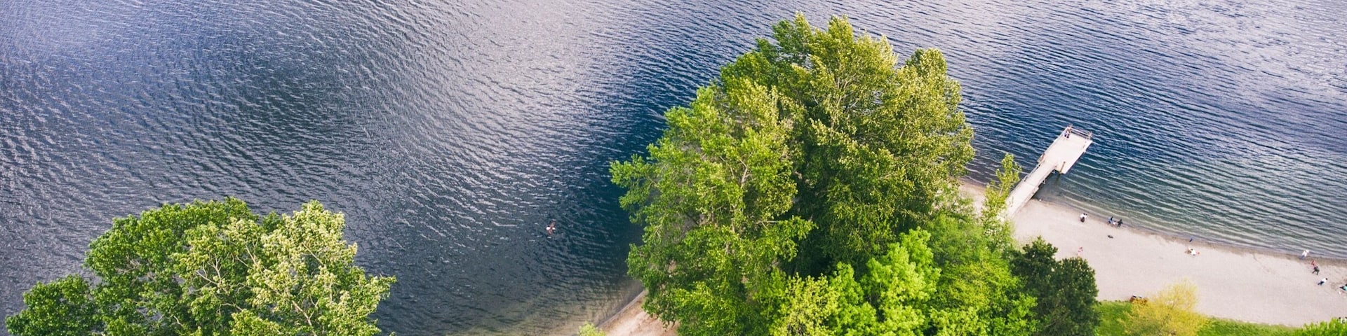 Idylwood Beach from above.