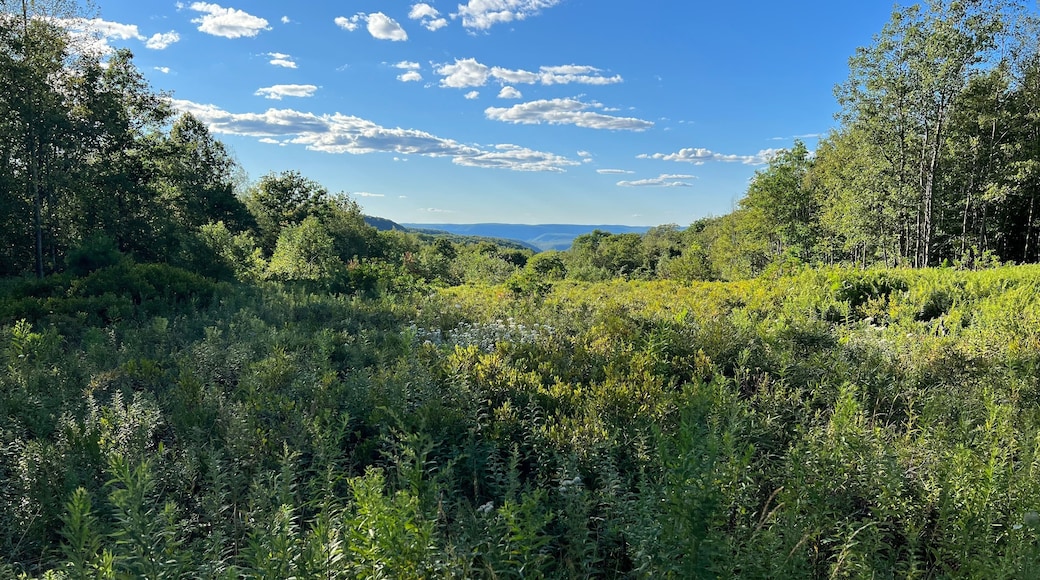 Two Rock Run Vista overlook at Burns Run Wild Area in Sproul State Forest, Pennsylvania.