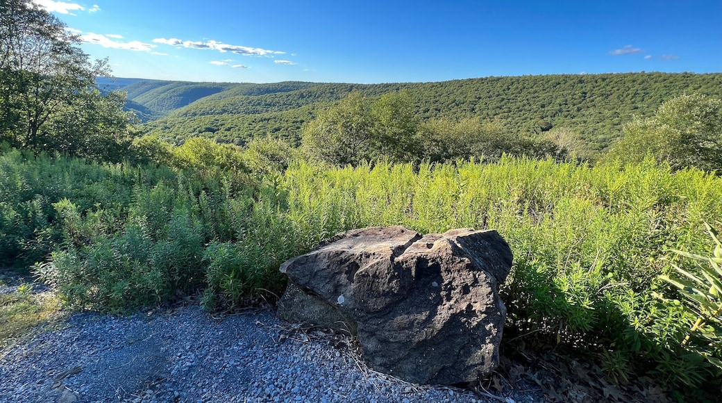 Two Rock Run Vista overlook at Burns Run Wild Area in Sproul State Forest, Pennsylvania.