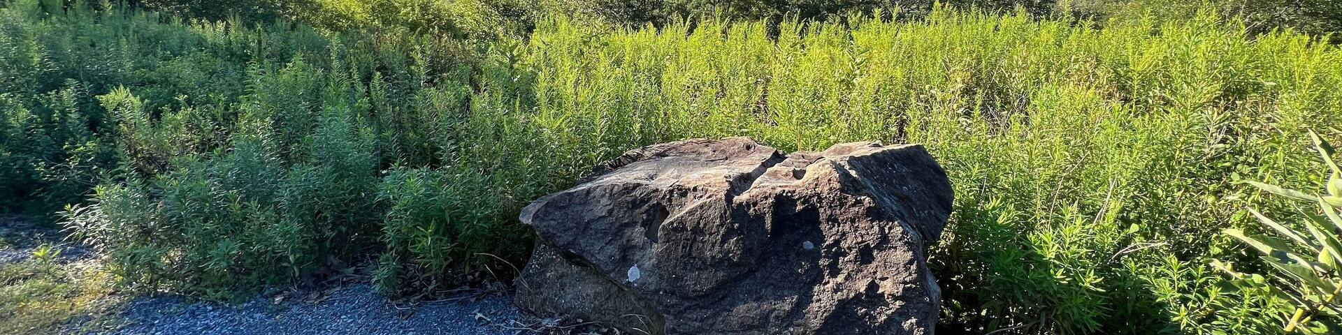 Two Rock Run Vista overlook at Burns Run Wild Area in Sproul State Forest, Pennsylvania.