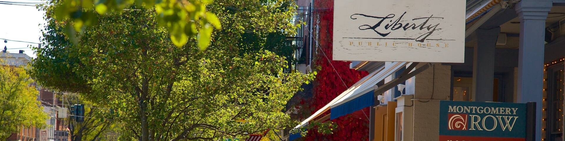 Rhinebeck showing a city