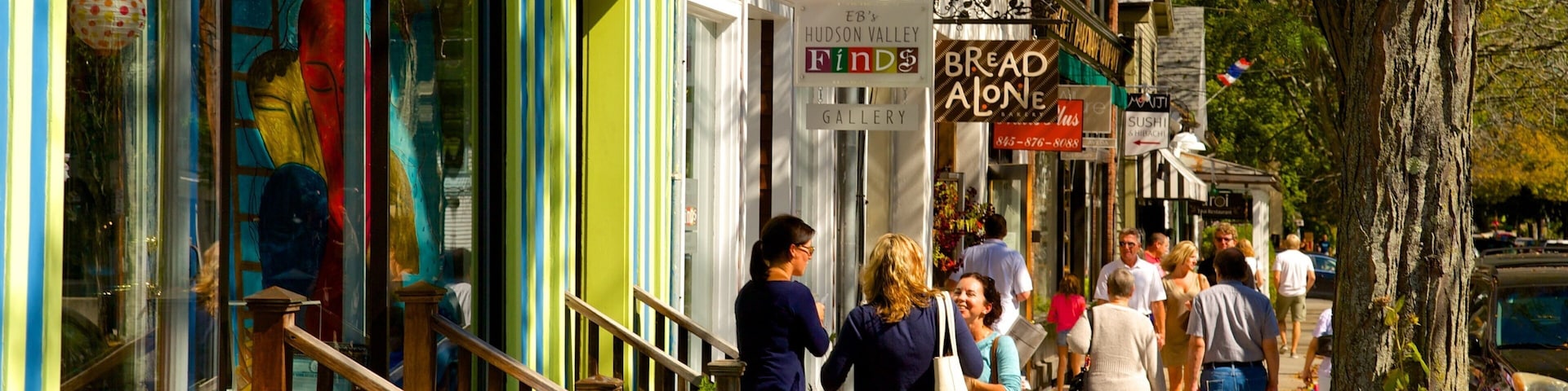 Rhinebeck featuring a city