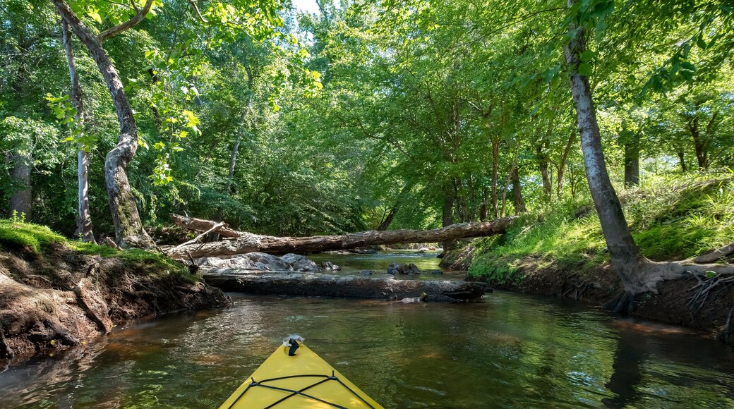 Kayaking on the Catawba River, Landsford Canal State Park, South Carolina