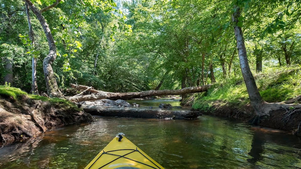 Kayaking on the Catawba River, Landsford Canal State Park, South Carolina