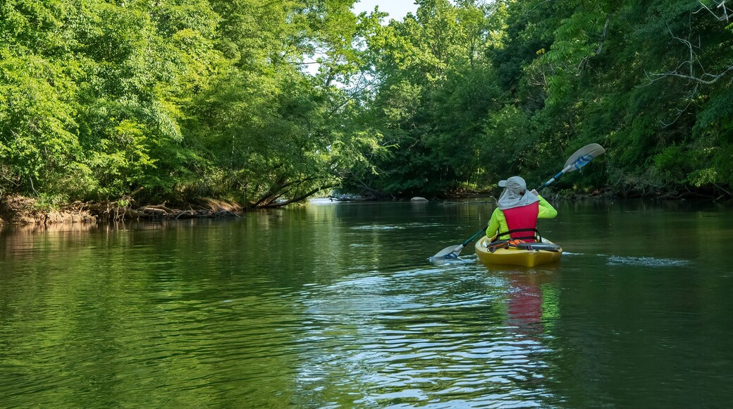 Kayaking on the Catawba River, Landsford Canal State Park, South Carolina