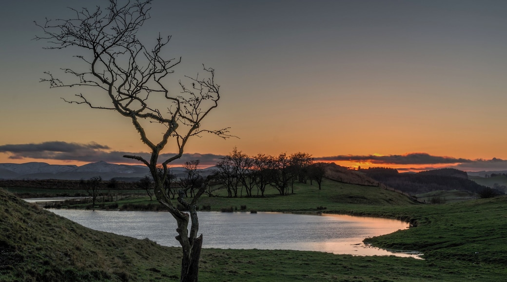 Sunset on a small.pond near Hawick Scottish Borders