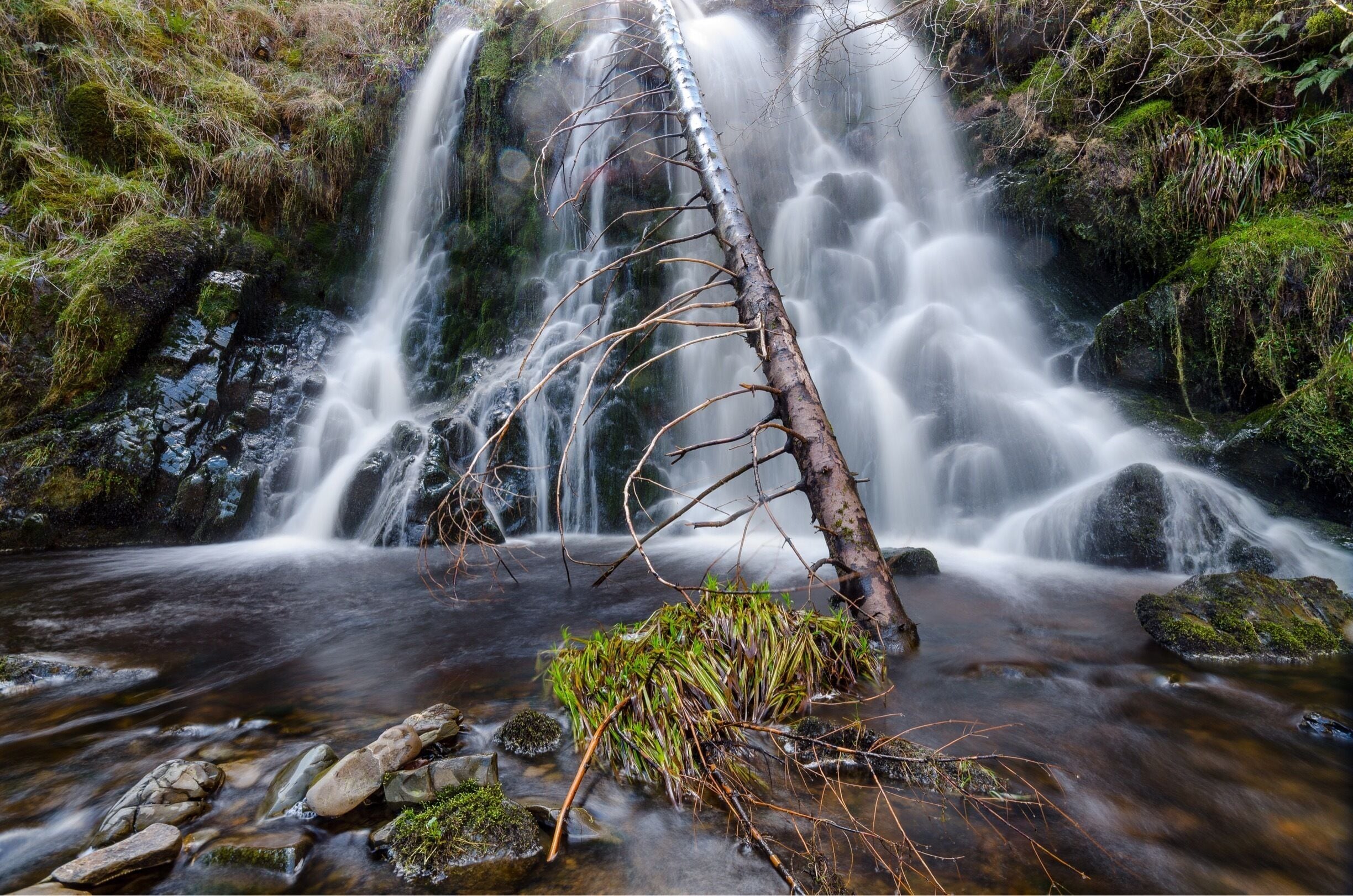Just 7 miles from Hawick lovely little waterfall in craik forest