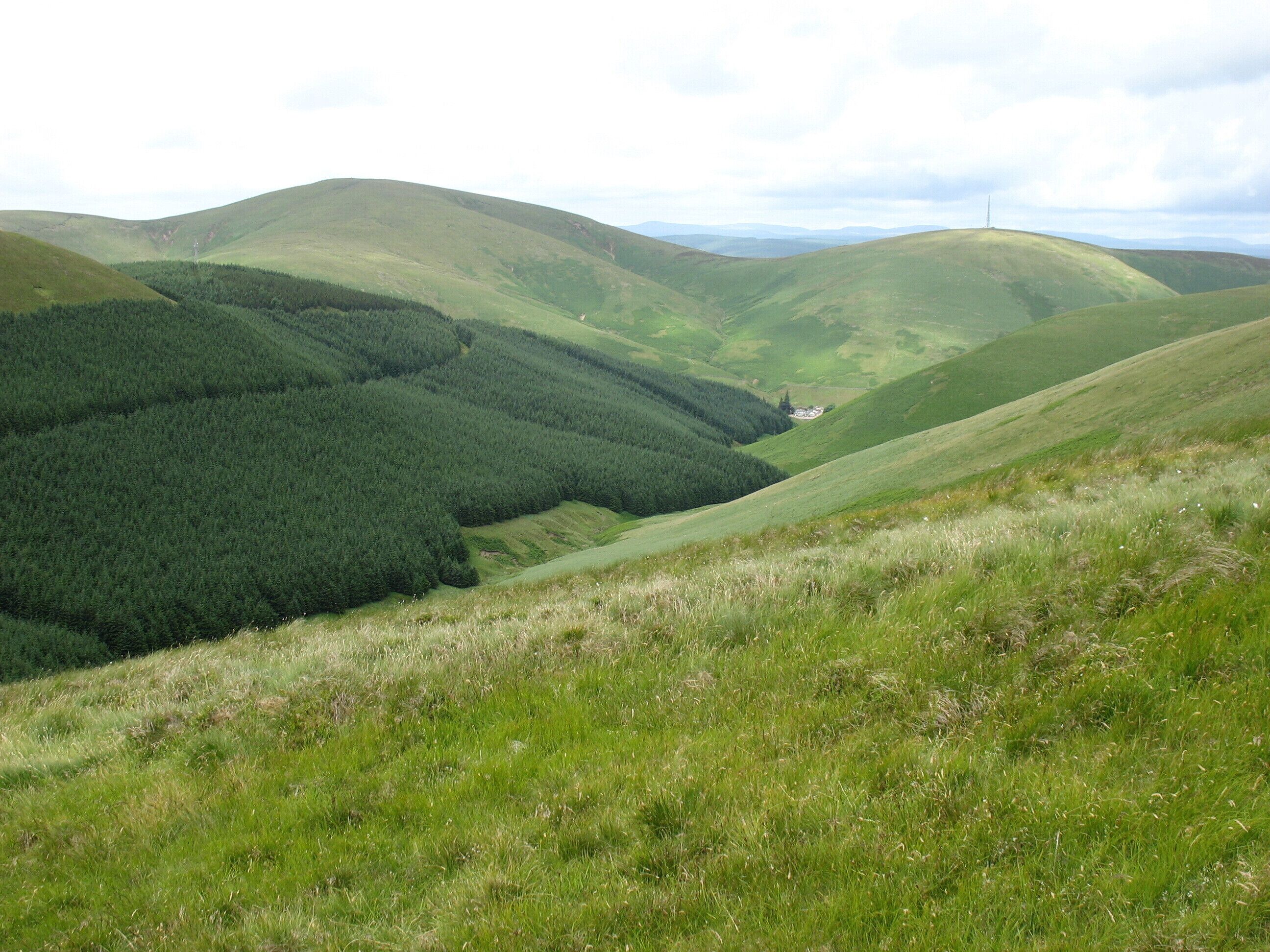 Rolling hills with dense forests and a small settlement in the valley.