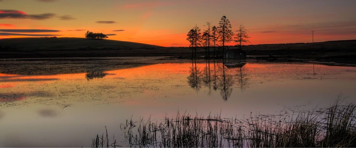 A sunset over a calm lake with trees reflecting the sky, a distant hill, and a small structure.
