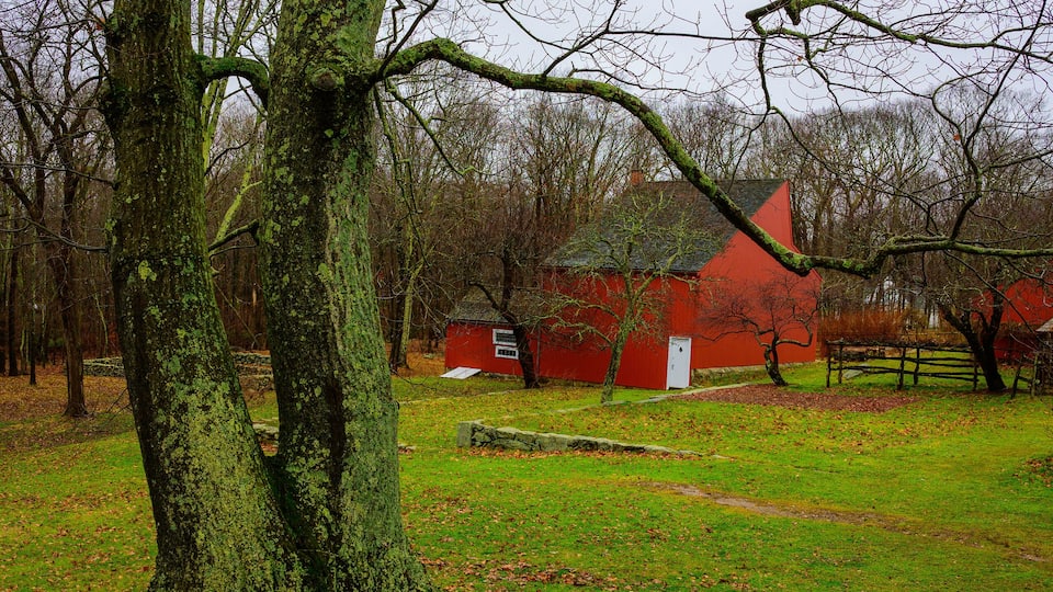 A large moss-covered tree, a red building, and a stone bench in a grassy area.