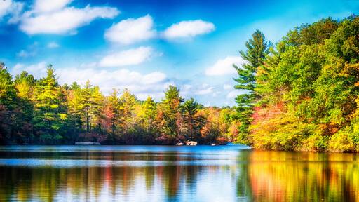 Ridgefield