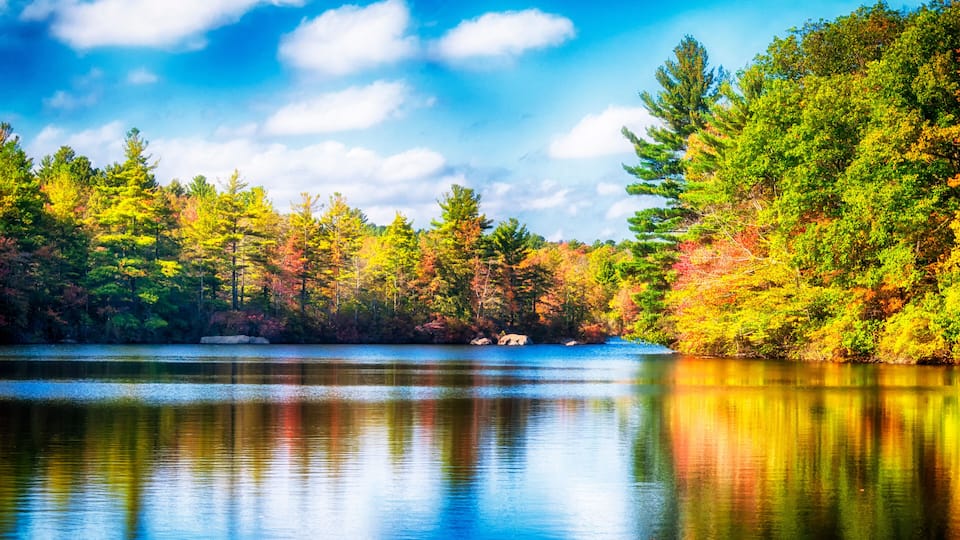 A calm lake surrounded by autumn-colored trees and a clear blue sky.