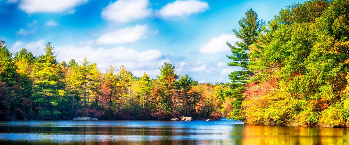 A calm lake surrounded by autumn-colored trees and a clear blue sky.