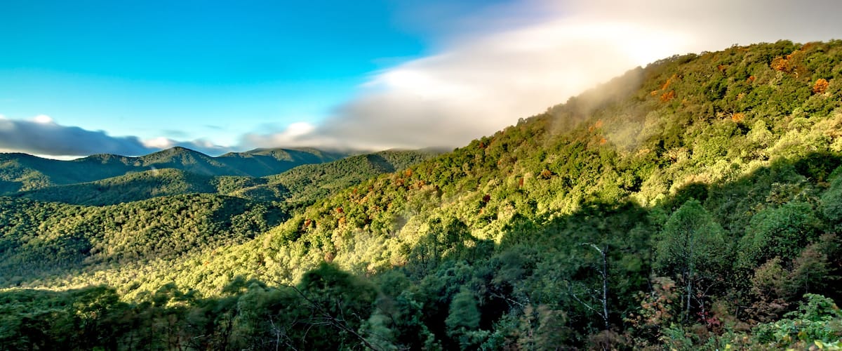 A mountainous landscape with dense forests and a clear blue sky.