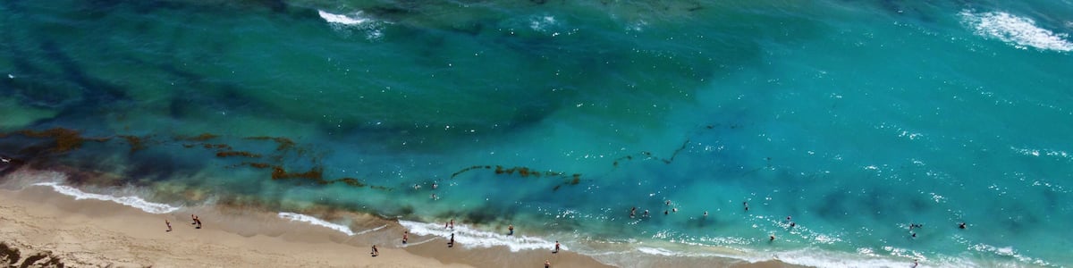 Une vue aérienne d’une plage où de nombreux parasols blancs et des chaises longues sont disposés en cercle, avec l’océan et les vagues en arrière-plan.